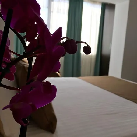 Elysium Aparthotel 3*