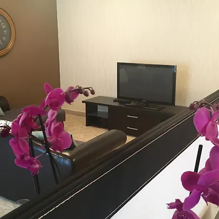 إيليسيوم بوخارست