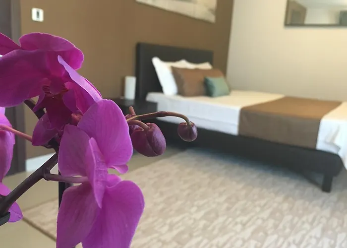 Elysium ブカレスト