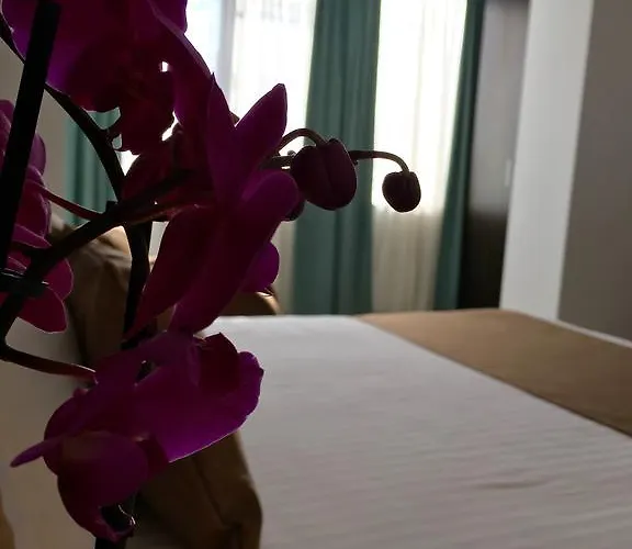 Elysium Apart Otel 3*